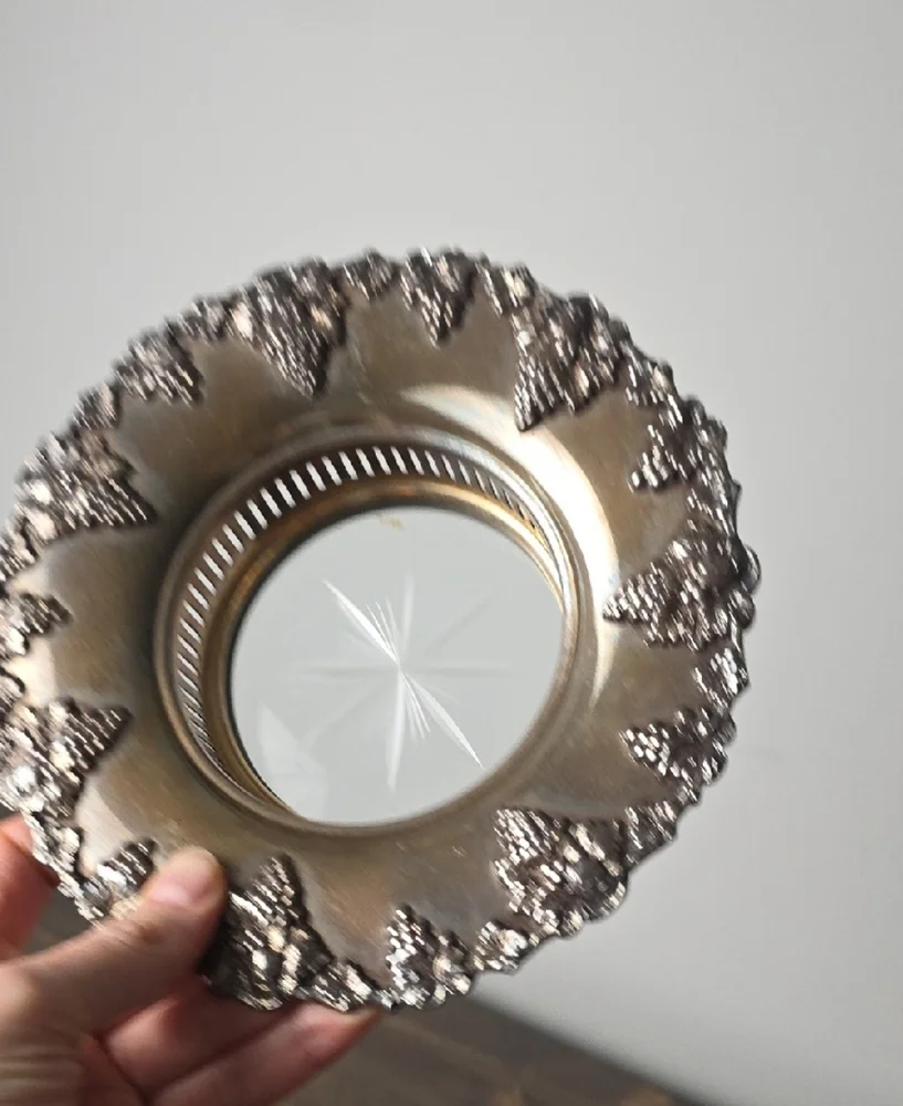 Elegant Silver Decorative Plate